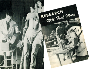 Images from an informational brochure published by the Laboratory of Physiological Hygiene at the University of Minnesota as part of the Minnesota Starvation Experiment