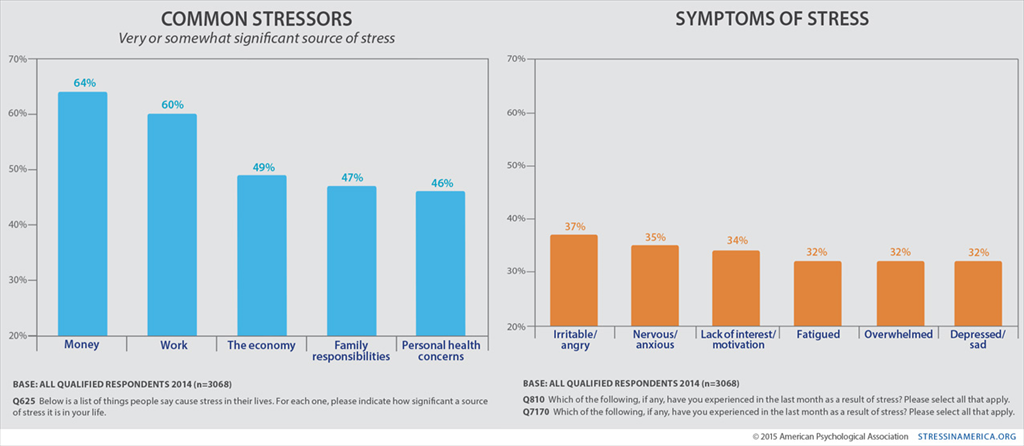 Reasons of stress. Stress Level. Most common stress patterns in English. Stressors.