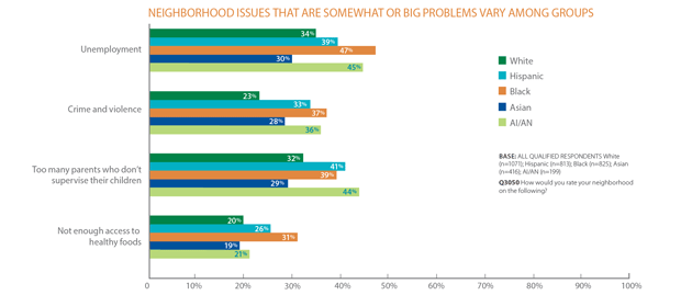 Neighborhood Issues That Are Somewhat or Big Problems Vary Among Groups