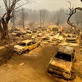 aftermath of a forest fire showing charred trees and cars