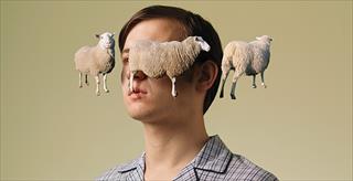 graphic depicting a young man with sheep floating around his head