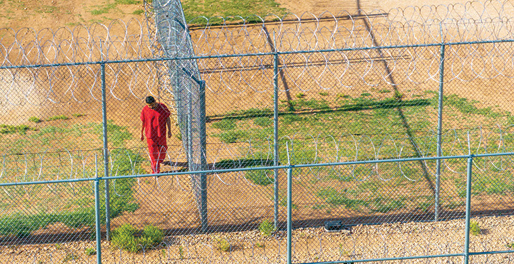 immigrant in custody