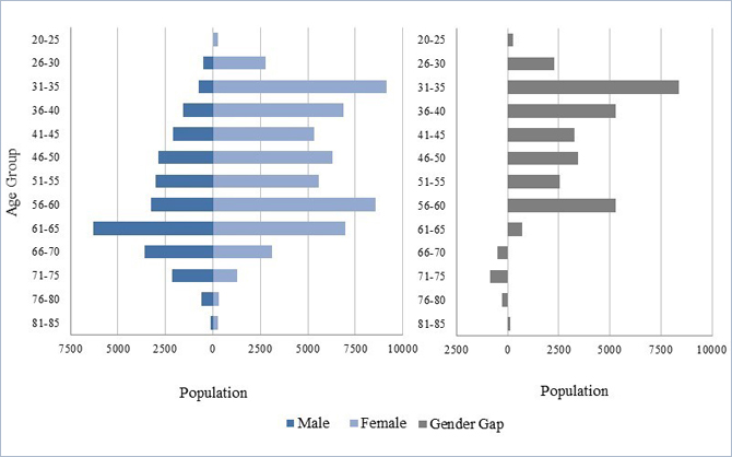 Percentage of agencies offering specific psychotherapies, by age