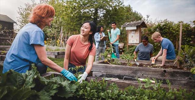 group of people working in community garden