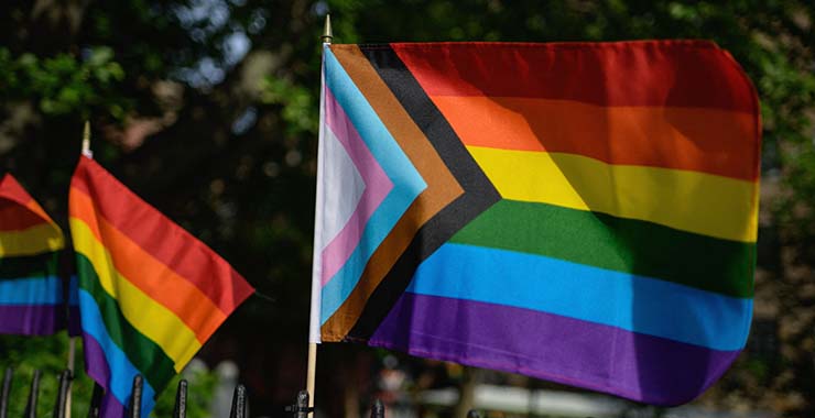 Ladies Gay Pride Rainbow Stripes Pants Womens LGBT Lesbian Festival Leggings