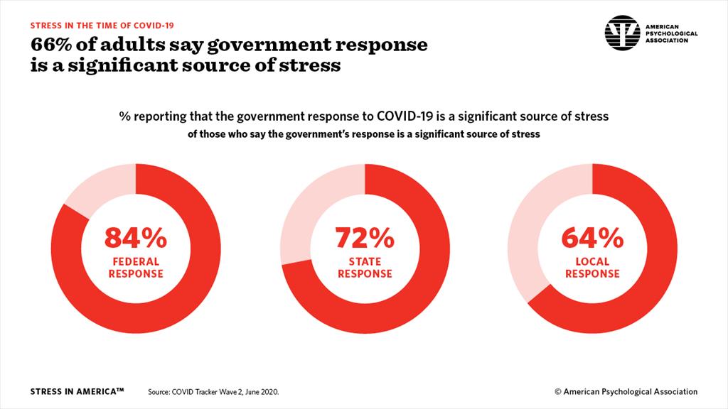 2020 Stress in America Graphs Volume Two