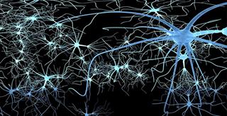 brain synapse
